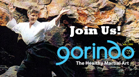 Contact us to book your Gorindo Intro Class