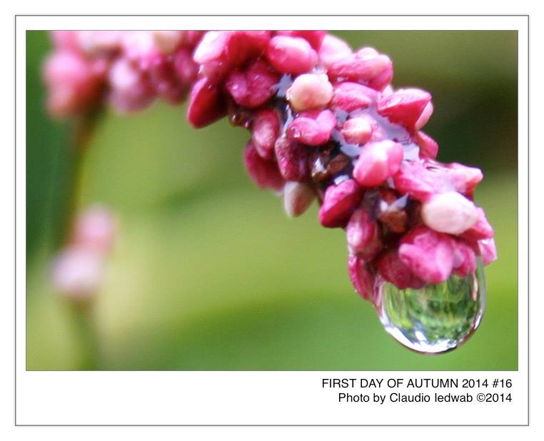 First Day of Autumn - Photos by Claudio Iedwab ©2014