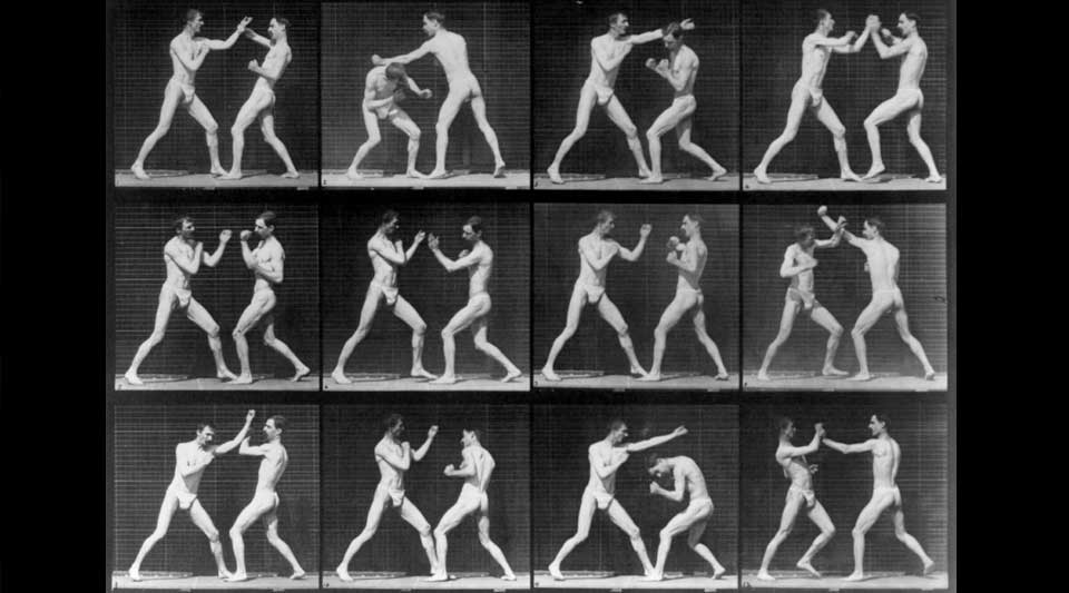 Boxing - Eadweard Muybridge 1887
