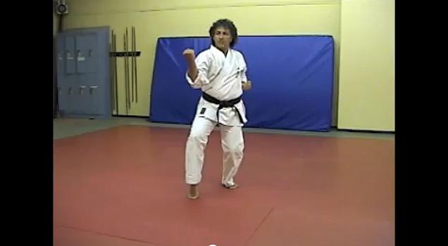 Kiito Shodan & Kihon by Claudio Iedwab</br>Video ©2009 Roxanne Standefer