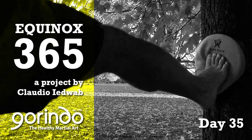 Equinox 365 - Day 35 by Claudio Iedwab<br/>©2014 Claudio Iedwab - All rights reserved