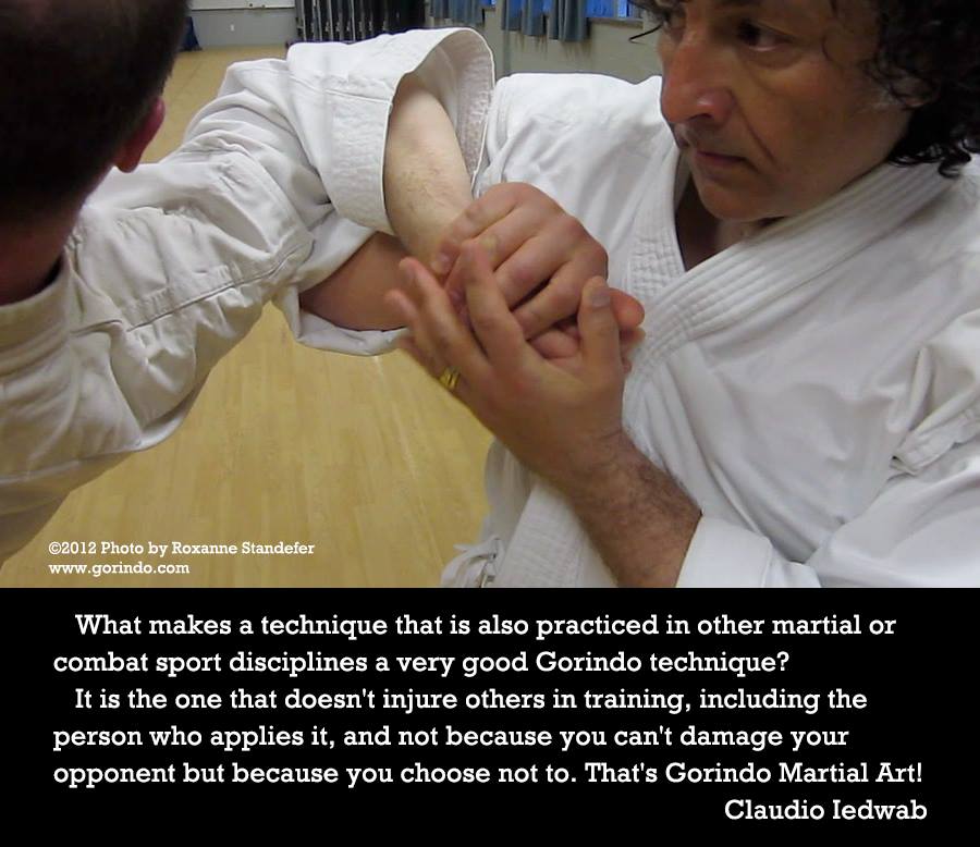 What makes a technique that is also practiced in other martial or combat sport disciplines a very good Gorindo technique? It is the one that doesn't injure others in training, including the person who applies it, and not because you can't damage your opponent but because you choose not to. That's Gorindo Martial Art! - Claudio Iedwab<br/>Photo by ©2012 Roxanne Standefer