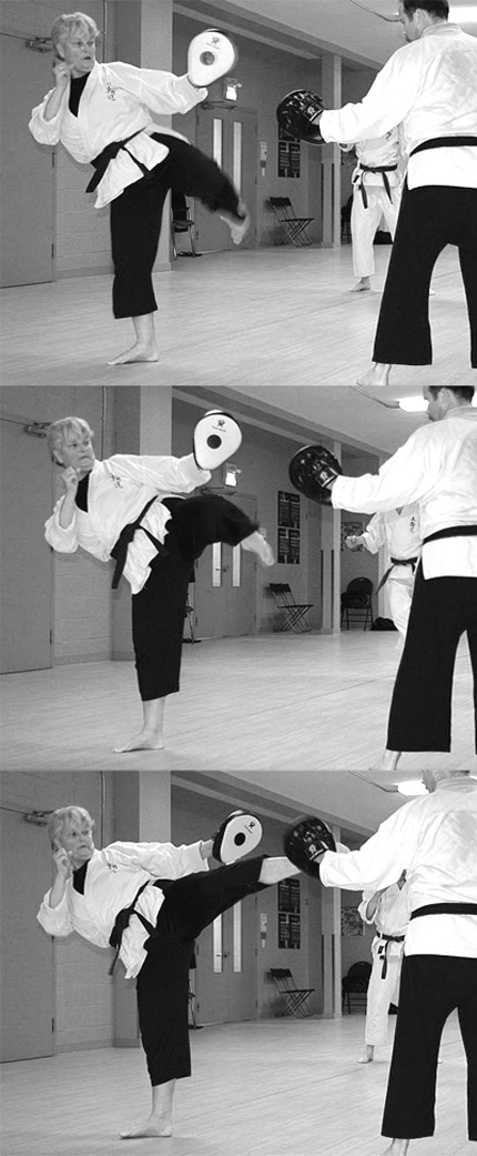 Roxanne sensei - mawashi-geri focus glove