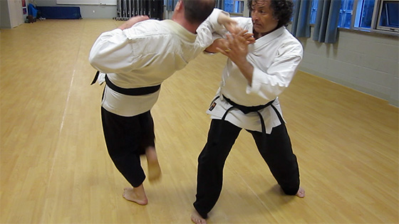 Gorindo Martial Art - Goshinjutsu by Roxanne ©2013