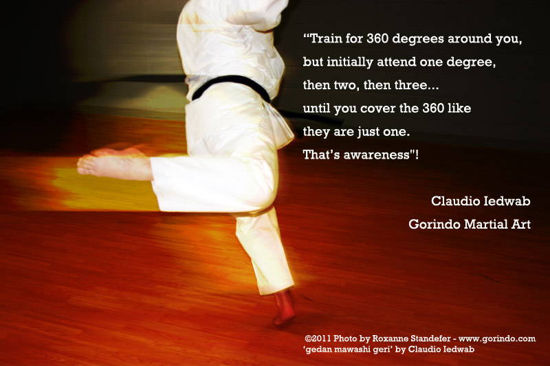 Pearls of Gorindo gerdan mawashi geri by Claudio Iedwab ©2011 Photo by Roxanne Standefer www.gorindo.com