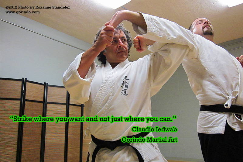 Pearls of Gorindo 'Claudio Iedwab Sensei and Joe Pach Sempai' ©2012 Photo by Roxanne Standefer www.gorindo.com