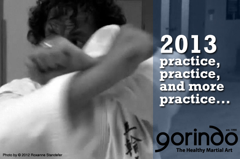 2013 - Practice, practice, practice... ©2012 Image by Roxanne Standefer www.gorindo.com