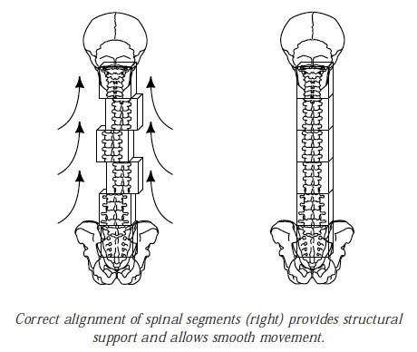 spine and cubes