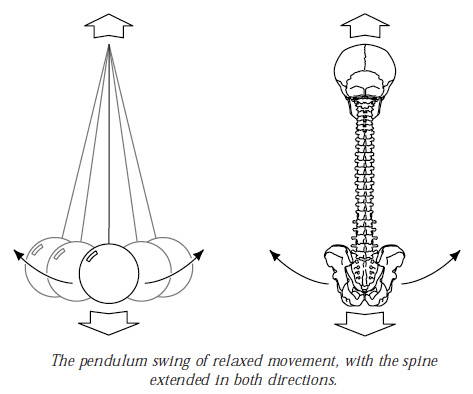 spine and pendulum