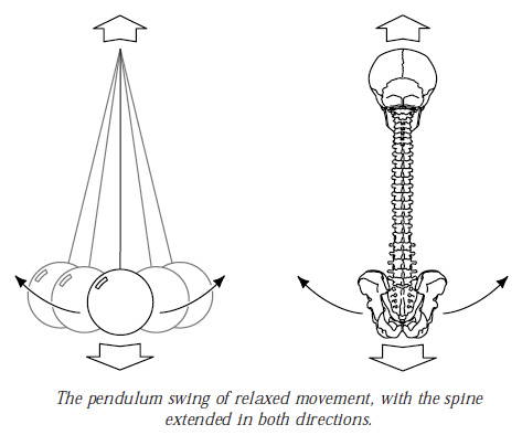 spine and pendulum