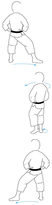 Gorindo turning kokutsu-dachi